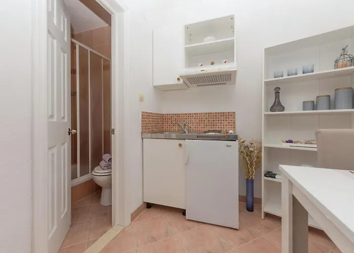 Skiljini Dvori - Studio-apartman 1 Appartement